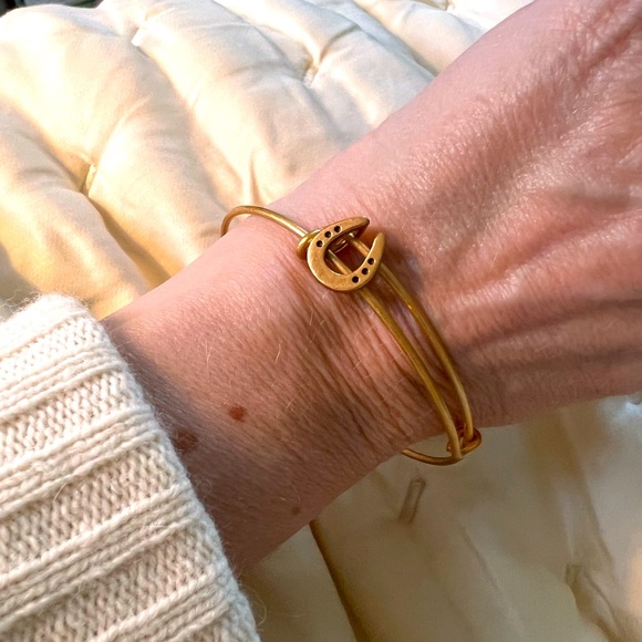 Alex and Ani lucky charm horse shoe bracelet, "Rafaelian Gold®", Nickel-free. - Picture 6 of 6